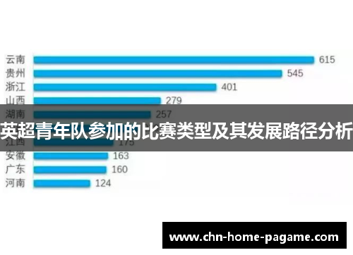 英超青年队参加的比赛类型及其发展路径分析