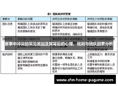 赛事中冲突的常见原因及其背后的心理、规则与团队因素分析