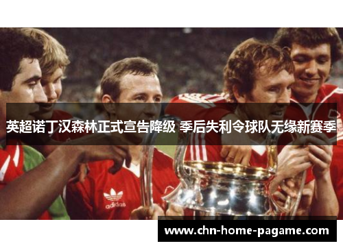英超诺丁汉森林正式宣告降级 季后失利令球队无缘新赛季